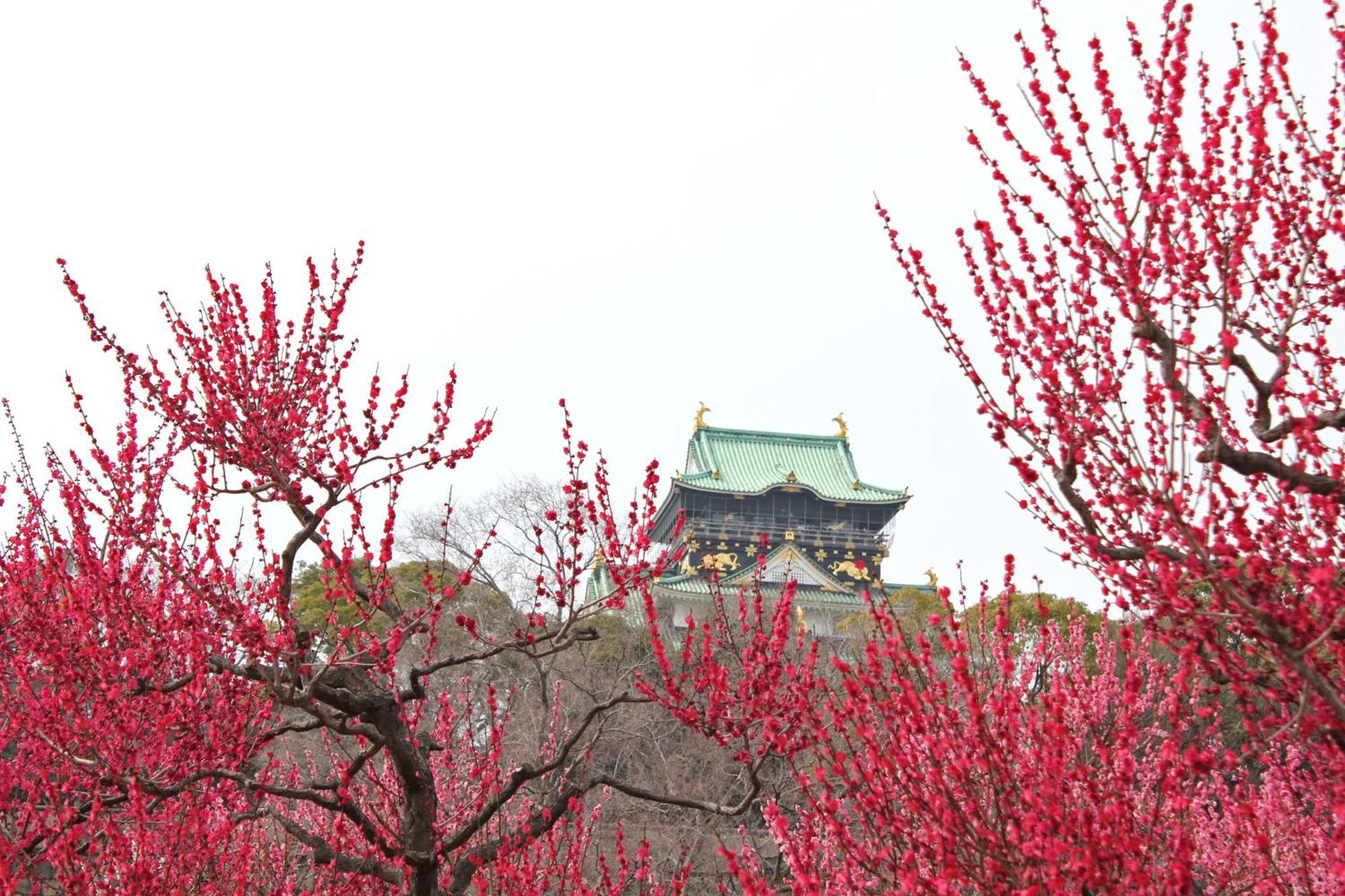 Hotel Wing International Select Higashi Osaka Eksteriør bilde
